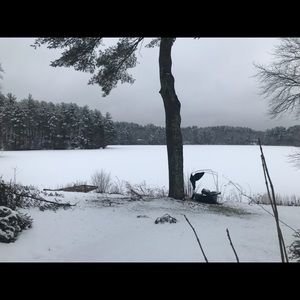 Meet your Posher, Carly